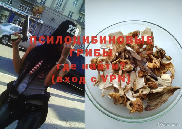 прущий лед Алексин