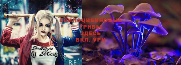 прущий лед Алексин